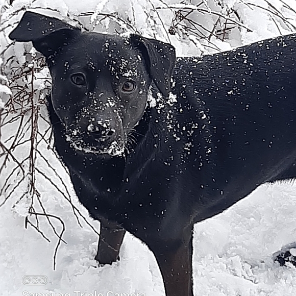 Meet your Posher, Marlena - Picture 1 of 10